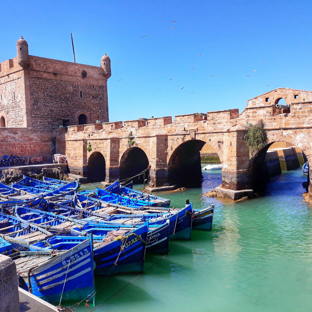 Essaouira Coastal Day Trip
