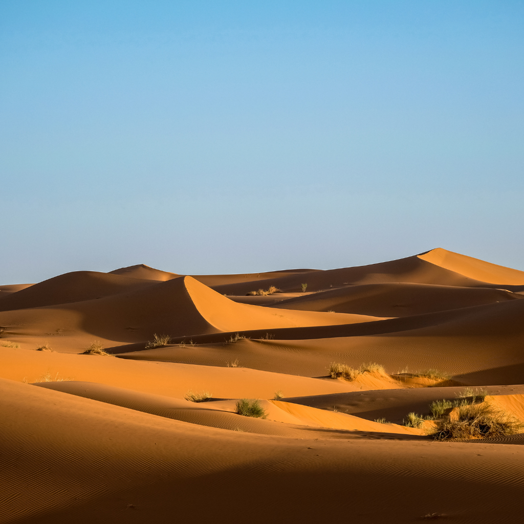 Merzouga to Fez Roadtrip