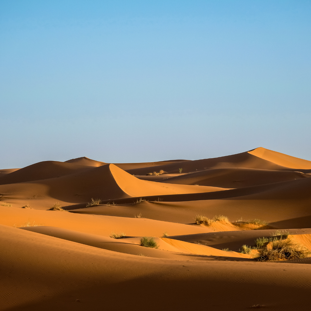 Merzouga to Fez Roadtrip