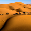 Merzouga to Fez Roadtrip
